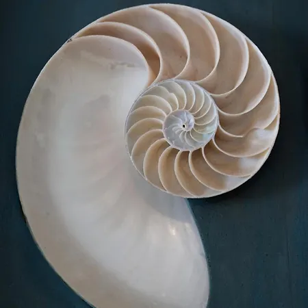 Apartment Casa Celeste Sperlongaresort