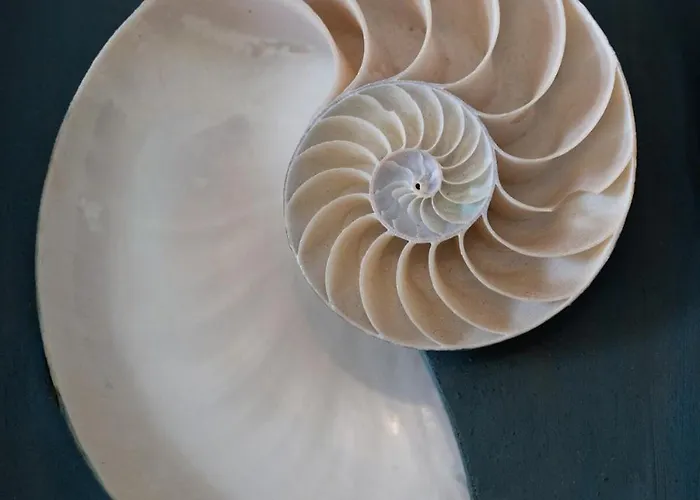 Apartmán Casa Celeste Sperlongaresort